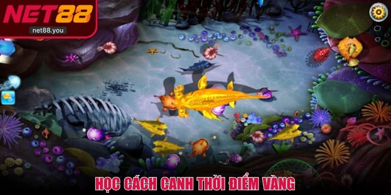 Học cách canh thời điểm vàng